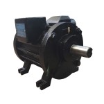 BOMBA DE VACUO 750LTS EUROLATTE BRAVA                                           